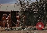 Image bâtiment du 65e Escadron de chasse Club durant Seconde Guerre Mondiale Corse France, 1944, de la seconde 48 séquences d'archives historiques vidéo 65675049832