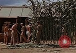 Image bâtiment du 65e Escadron de chasse Club durant Seconde Guerre Mondiale Corse France, 1944, de la seconde 49 séquences d'archives historiques vidéo 65675049832
