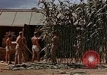 Image bâtiment du 65e Escadron de chasse Club durant Seconde Guerre Mondiale Corse France, 1944, de la seconde 50 séquences d'archives historiques vidéo 65675049832