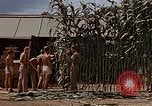 Image bâtiment du 65e Escadron de chasse Club durant Seconde Guerre Mondiale Corse France, 1944, de la seconde 52 séquences d'archives historiques vidéo 65675049832