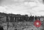 Standbild Deutsche Kriegsgefangene gesucht wird Normandie Frankreich, 1944, aus Sekunde 8 historischem Filmmaterial Videoclip 65675049840