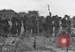 Standbild Deutsche Kriegsgefangene gesucht wird Normandie Frankreich, 1944, aus Sekunde 20 historischem Filmmaterial Videoclip 65675049840