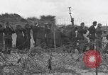 Standbild Deutsche Kriegsgefangene gesucht wird Normandie Frankreich, 1944, aus Sekunde 21 historischem Filmmaterial Videoclip 65675049840