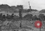 Standbild Deutsche Kriegsgefangene gesucht wird Normandie Frankreich, 1944, aus Sekunde 22 historischem Filmmaterial Videoclip 65675049840