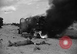 Standbild Deutsche Kriegsgefangene gesucht wird Normandie Frankreich, 1944, aus Sekunde 32 historischem Filmmaterial Videoclip 65675049840