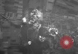 Image of American B-24 Liberator aircraft dropping bombs France, 1944, second 25 stock footage video 65675049848