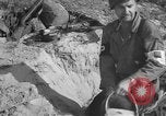 Image of Allied troops France, 1944, second 14 stock footage video 65675049864
