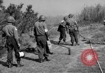 Image of German shoebox mines discovered using metal detectors France, 1944, second 3 stock footage video 65675049866