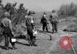 Image of German shoebox mines discovered using metal detectors France, 1944, second 4 stock footage video 65675049866