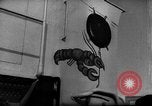 Standbild Flottille der Deutschen minesweepers im Englischen Kanal, 1943, aus Sekunde 15 historischem Filmmaterial Videoclip 65675049870