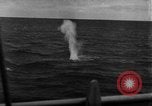 Standbild Flottille der Deutschen minesweepers im Englischen Kanal, 1943, aus Sekunde 59 historischem Filmmaterial Videoclip 65675049870