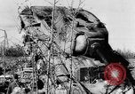 Standbild deutsche Truppen Leningrad Russland, 1942, aus Sekunde 50 historischem Filmmaterial Videoclip 65675049877