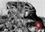 Standbild deutsche Truppen Leningrad Russland, 1942, aus Sekunde 51 historischem Filmmaterial Videoclip 65675049877