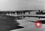 Image of German troops Eastern Front European Theater, 1941, second 14 stock footage video 65675049879