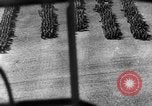 Image of German troops Eastern Front European Theater, 1941, second 16 stock footage video 65675049879