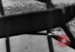 Image of German troops Eastern Front European Theater, 1941, second 18 stock footage video 65675049879
