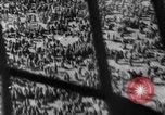 Image of German troops Eastern Front European Theater, 1941, second 19 stock footage video 65675049879