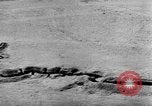 Standbild deutsche Truppen Ägypten, 1942, aus Sekunde 52 historischem Filmmaterial Videoclip 65675049880