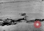 Standbild deutsche Truppen Ägypten, 1942, aus Sekunde 53 historischem Filmmaterial Videoclip 65675049880