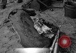 Image of damaged propeller France, 1944, second 19 stock footage video 65675049899