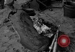 Image of damaged propeller France, 1944, second 20 stock footage video 65675049899