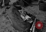 Image of damaged propeller France, 1944, second 21 stock footage video 65675049899