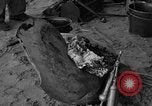 Image of damaged propeller France, 1944, second 23 stock footage video 65675049899
