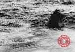 Image of British steamer Georgic accosted by German cruiser SMS Möwe Atlantic Ocean, 1916, second 47 stock footage video 65675049913