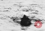 Image of British steamer Georgic accosted by German cruiser SMS Möwe Atlantic Ocean, 1916, second 48 stock footage video 65675049913
