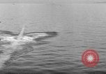 Image of US Navy maneuvers Atlantic Ocean, 1920, second 43 stock footage video 65675049939