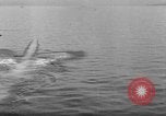 Image of US Navy maneuvers Atlantic Ocean, 1920, second 44 stock footage video 65675049939