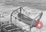 Image USS Schenck 'Océan Atlantique, 1920, de la seconde 9 séquences d'archives historiques vidéo 65675049944