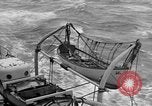 Image USS Schenck 'Océan Atlantique, 1920, de la seconde 42 séquences d'archives historiques vidéo 65675049944