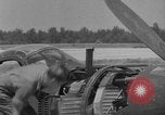 Image P-40 Aéronefs United States USA, 1941, de la seconde 26 séquences d'archives historiques vidéo 65675049958