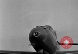 Image P-40 Aéronefs United States USA, 1941, de la seconde 29 séquences d'archives historiques vidéo 65675049958