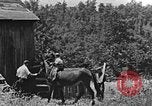 Standbild weiblich Missionar Kentucky United States USA, 1921, aus Sekunde 7 historischem Filmmaterial Videoclip 65675049998