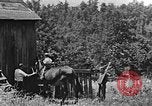 Standbild weiblich Missionar Kentucky United States USA, 1921, aus Sekunde 8 historischem Filmmaterial Videoclip 65675049998