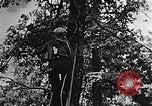 Standbild schwerfälligen Kentucky United States USA, 1921, aus Sekunde 4 historischem Filmmaterial Videoclip 65675049999