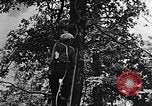 Standbild schwerfälligen Kentucky United States USA, 1921, aus Sekunde 5 historischem Filmmaterial Videoclip 65675049999