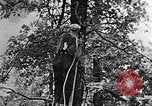 Standbild schwerfälligen Kentucky United States USA, 1921, aus Sekunde 6 historischem Filmmaterial Videoclip 65675049999