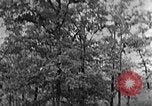 Standbild schwerfälligen Kentucky United States USA, 1921, aus Sekunde 13 historischem Filmmaterial Videoclip 65675049999