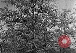 Standbild schwerfälligen Kentucky United States USA, 1921, aus Sekunde 14 historischem Filmmaterial Videoclip 65675049999