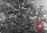 Standbild schwerfälligen Kentucky United States USA, 1921, aus Sekunde 15 historischem Filmmaterial Videoclip 65675049999