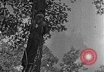 Standbild schwerfälligen Kentucky United States USA, 1921, aus Sekunde 26 historischem Filmmaterial Videoclip 65675049999