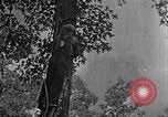 Standbild schwerfälligen Kentucky United States USA, 1921, aus Sekunde 28 historischem Filmmaterial Videoclip 65675049999