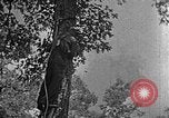 Standbild schwerfälligen Kentucky United States USA, 1921, aus Sekunde 30 historischem Filmmaterial Videoclip 65675049999