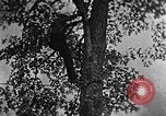 Standbild schwerfälligen Kentucky United States USA, 1921, aus Sekunde 31 historischem Filmmaterial Videoclip 65675049999