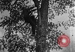Standbild schwerfälligen Kentucky United States USA, 1921, aus Sekunde 32 historischem Filmmaterial Videoclip 65675049999