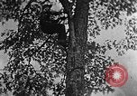 Standbild schwerfälligen Kentucky United States USA, 1921, aus Sekunde 33 historischem Filmmaterial Videoclip 65675049999