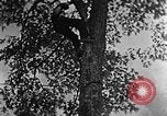 Standbild schwerfälligen Kentucky United States USA, 1921, aus Sekunde 34 historischem Filmmaterial Videoclip 65675049999